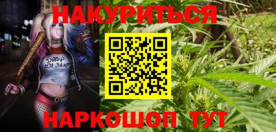 ECSTASY Камышлов