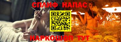 ECSTASY Камышлов