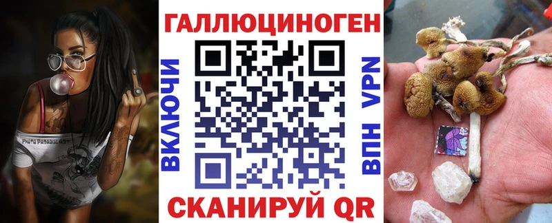 Псилоцибиновые грибы Psilocybine cubensis Тихорецк