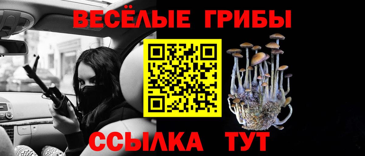 Тихорецк  Галлюциногенные грибы ЛСД  где купить наркотик  Вход с VPN 